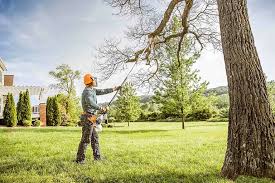 Best Tree Preservation Services  in Granby, CO